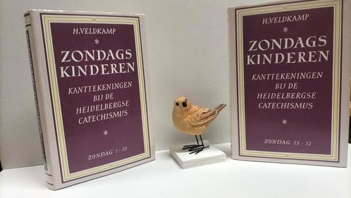 Veldkamp, Ds. H., Zondagskinderen dl. 1 en 2, Boeken, Godsdienst en Theologie, Gelezen, Christendom | Protestants, Ophalen of Verzenden
