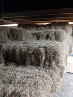 Hooi. Met analyse, Dieren en Toebehoren, Dierenvoeding, Ophalen of Verzenden, Vee