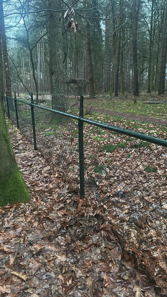 Hekwerk Gaas - Zo goed als nieuw - 100+ meter, Tuin en Terras, Gaas en Draad, Zo goed als nieuw, Gaas, 20 meter of meer, Ophalen