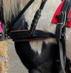 Donkerbruin leren mentuig merk " Ideal" met lichtbruin onder, Dieren en Toebehoren, Paarden en Pony's | Hoofdstellen en Tuigage