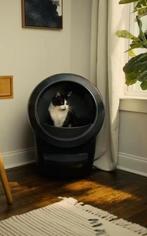 Litter robot 4, Dieren en Toebehoren, Kattenbakken, Ophalen, Zelfreinigend, Zo goed als nieuw, Open