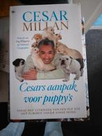 Cesar Millan - Cesars aanpak voor puppy's, Honden, Ophalen of Verzenden, Zo goed als nieuw