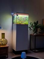 Oase skyline 85 incl inhoud & toebehoren, Dieren en Toebehoren, Vissen | Aquaria en Toebehoren, Ophalen, Zo goed als nieuw, Gevuld zoetwateraquarium