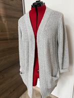 Lang damesvest met zakken, Ophalen of Verzenden, Gedragen, Grijs