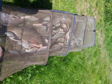GEZOCHT  Sportex feeder 390cm beschikbaar voor biedingen