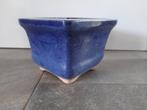 Bonsai half cascadepot, Tuin en Terras, Planten | Bomen, Ophalen of Verzenden, Volle zon, Overige soorten, Minder dan 100 cm