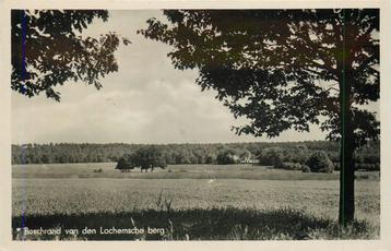 (387-268-027) Lochem Boschrand van den Lochemsche berg beschikbaar voor biedingen