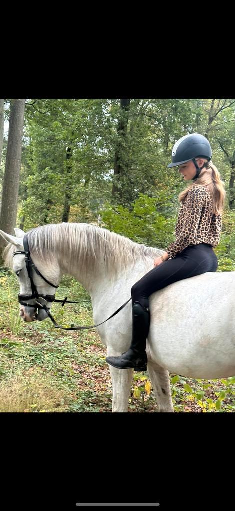 VERZORGPONY GEZOCHT / Verzorger aangeboden, Dieren en Toebehoren, Paarden en Pony's | Beschermers, Ophalen of Verzenden