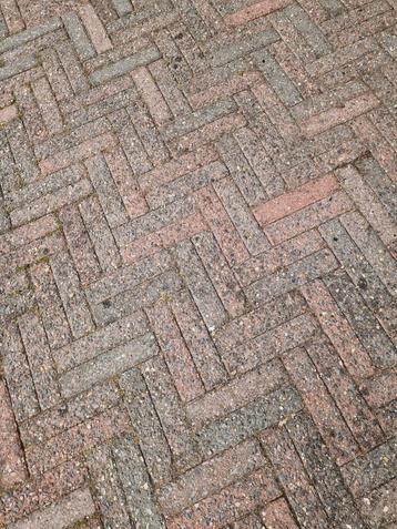 Gratis Waaltjes beschikbaar voor biedingen