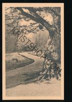 Leiden -Hortus Botanicus der Rijksuniversiteit [KRST009-3179, Verzamelen, Verzenden, 1940 tot 1960, Ongelopen, Zuid-Holland