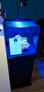 Waterbox nano 42L aquarium, Ophalen, Leeg aquarium