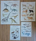 4 leuke dierenposters op canvas, Ophalen of Verzenden, Zo goed als nieuw, Wanddecoratie