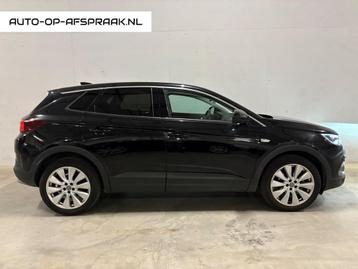 Opel Grandland X 1.2 Turbo Business Executive Navi beschikbaar voor biedingen