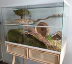 Witprofiel Gerbilarium – Knaagdieren Terrarium in Luxe Stijl, Minder dan 60 cm, Ophalen of Verzenden, Hok, Hamster
