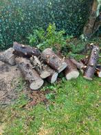 Gratis stammen, zelf erzagen in AALSMEER, Tuin en Terras, Haardhout, 6 m³ of meer, Ophalen, Overige houtsoorten, Stammen