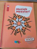 Rinze van der Lei - Muziek Meester!, Rinze van der Lei; Lieuwe Noordam; Frans Haverkort, Ophalen of Verzenden, Zo goed als nieuw
