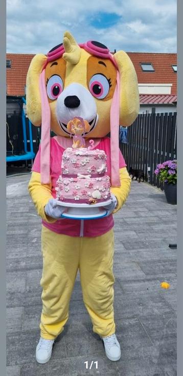 Mascotte pak van sky te huur beschikbaar voor biedingen