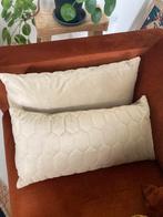 Set van twee velvet langwerpige kussens, Huis en Inrichting, Woonaccessoires | Kussens, Ophalen of Verzenden, Zo goed als nieuw