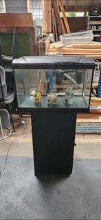 60 liter aquarium met ornamenten, Dieren en Toebehoren, Vissen | Aquaria en Toebehoren, Ophalen, Zo goed als nieuw, Leeg aquarium