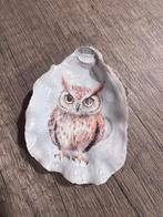 Oesterschelp met uiltje, Verzamelen, Mineralen en Fossielen, Ophalen of Verzenden, Schelp(en)