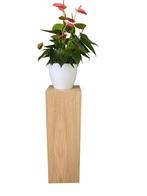 Eiken fineer sokkel | zuilen eikenfineer op maat gemaakt, Huis en Inrichting, Woonaccessoires | Zuilen en Pilaren, Ophalen of Verzenden