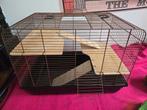Volledige starterset voor een hamster (hok,eten,speeltjes), Ophalen, 60 tot 90 cm, Hamster, Zo goed als nieuw