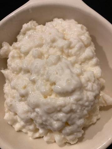 Melkkefir korrels beschikbaar voor biedingen