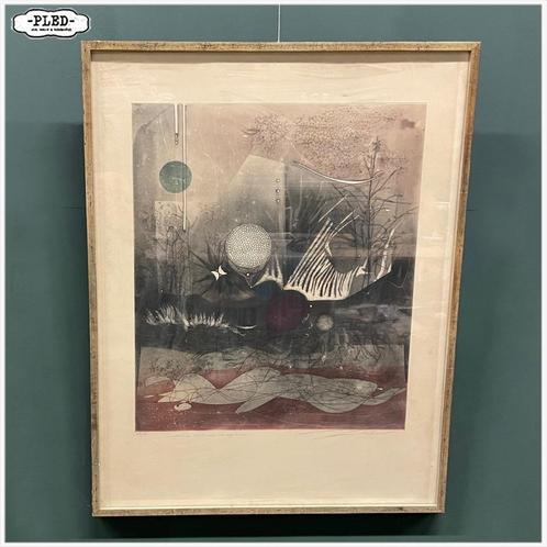 Kleuren ets in lijst van Renée Lubarow (1923-2017), Antiek en Kunst, Kunst | Etsen en Gravures, Ophalen