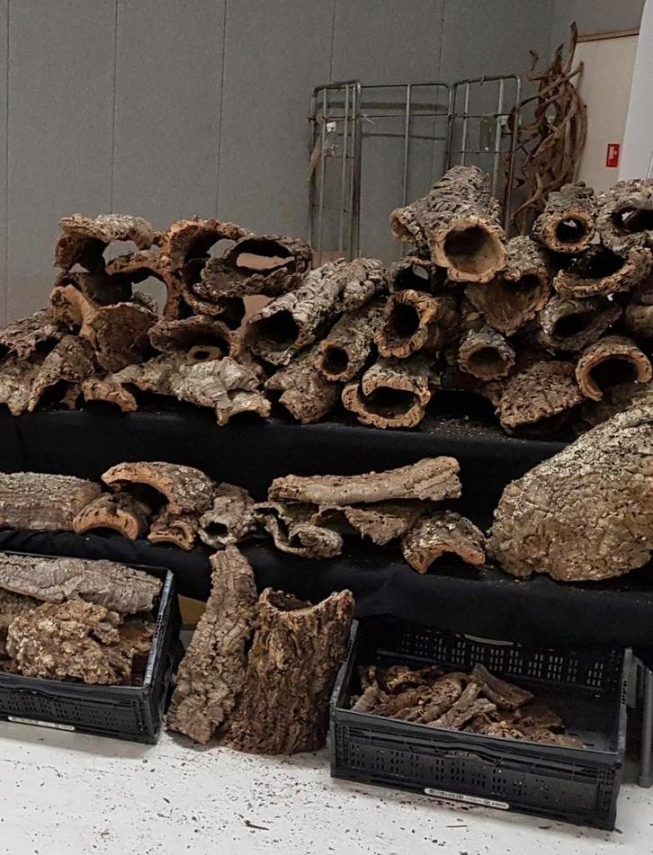 Terrarium houten/ kurk /stammen, Dieren en Toebehoren, Reptielen en Amfibieën, Amfibie, 0 tot 2 jaar