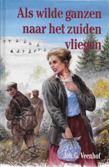Joh G Veenhof:  een set (2 delen) 'wilde ganzen' beschikbaar voor biedingen