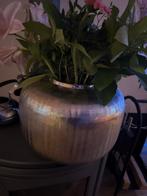 Grote PTMD Vaas - Zilverkleurig, Ophalen, Overige materialen, Overige kleuren, Zo goed als nieuw