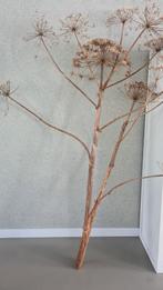 2 reuzenberenklauwen decoratie, Huis en Inrichting, Woonaccessoires | Droogbloemen, Ophalen, Zo goed als nieuw