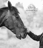 Te koop lieve ruin, Dieren en Toebehoren, Paarden, Ruin, Zadelmak, Gechipt, Recreatiepaard