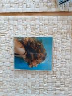 Madonna, Ophalen of Verzenden, Zo goed als nieuw