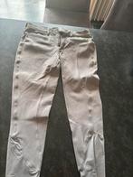Samshield rijbroek maat 40, Dieren en Toebehoren, Gebruikt, Springen, Dames, Onderkleding