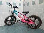 Meisjes Mountainbike 20 inch, Gebruikt, Ophalen of Verzenden, 20 inch, Antule