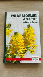 Wilde bloemen & planten in Nederland, Ophalen of Verzenden, Nieuw, Bloemen, Planten en Bomen