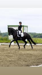 JUULC black diamond wedstrijdjas EU 34, Dieren en Toebehoren, Ophalen of Verzenden, Zo goed als nieuw