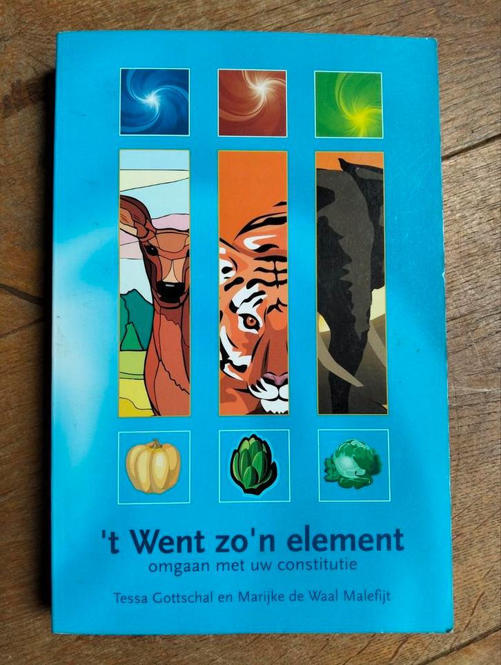 Tessa Gottschal - 't Went zo'n element, Boeken, Esoterie en Spiritualiteit, Zo goed als nieuw, Achtergrond en Informatie, Ophalen of Verzenden