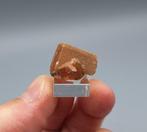Serandiet - Poudrette Quarry, Canada, Ophalen of Verzenden, Mineraal