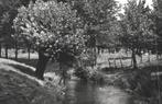 805283	Schin op Geul	Limburg	1960 Geulgezicht	Gelopen met po, Verzamelen, Ansichtkaarten | Nederland, Ophalen of Verzenden, 1940 tot 1960