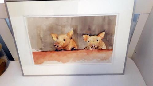 AQUAREL VARKENTJES, Antiek en Kunst, Kunst | Schilderijen | Klassiek, Ophalen of Verzenden