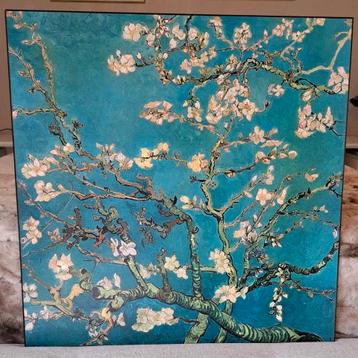 Amandelbloesem Van Gogh Prachtig Artprint paneel 69x69 cm beschikbaar voor biedingen