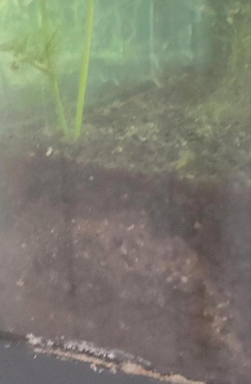 Voedingsbodem en aquasoil + los zwart grins, Dieren en Toebehoren, Vissen | Aquaria en Toebehoren, Ophalen