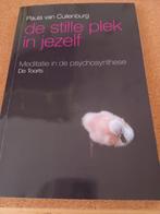 Paula van Cuilenburg - De stille plek in jezelf, Spiritualiteit algemeen, Overige typen, Ophalen of Verzenden, Zo goed als nieuw
