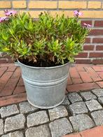 Zinken emmer, Tuin en Terras, Bloembakken en Plantenbakken, Ophalen, Overige materialen, Gebruikt, Minder dan 30 cm