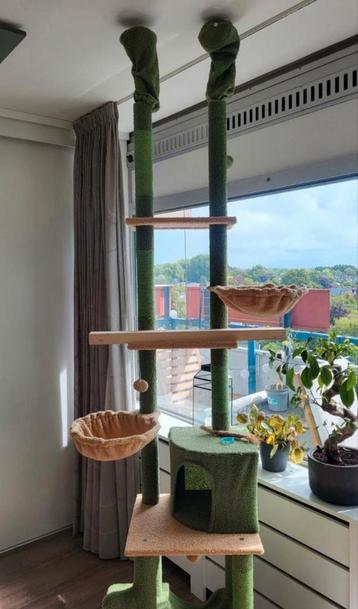 Luxe krabpaal (krabboom) beschikbaar voor biedingen