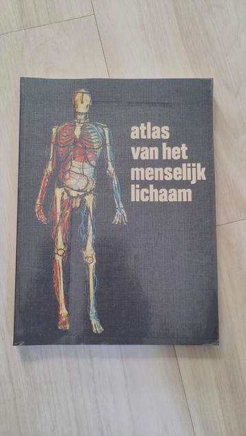 Schade - Atlas van het menselyk lichaam beschikbaar voor biedingen
