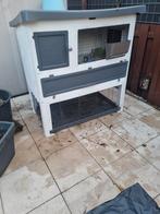 Goeie konijnenhok met veel accessoires, Dieren en Toebehoren, Ophalen, Hok, Minder dan 60 cm