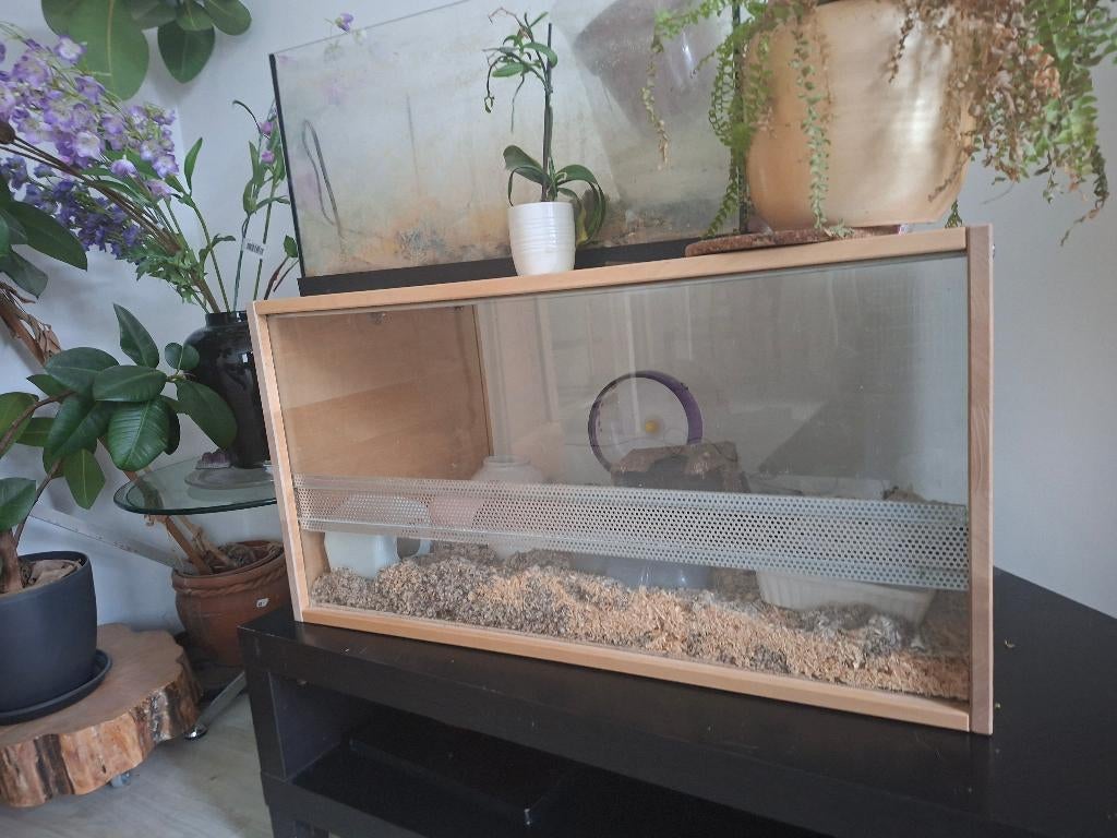 Terrarium voor bv. dwerghamsters, Dieren en Toebehoren, Kooi, Gebruikt, Muis, 75 tot 110 cm